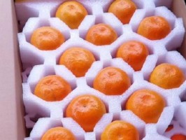 蜜桃色欲AV无码久久精品软件